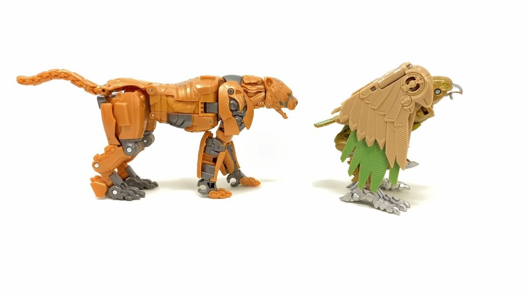 In Hand Image Of Studio Series Rise Of The Beasts 98 Cheetor  (40 of 51)